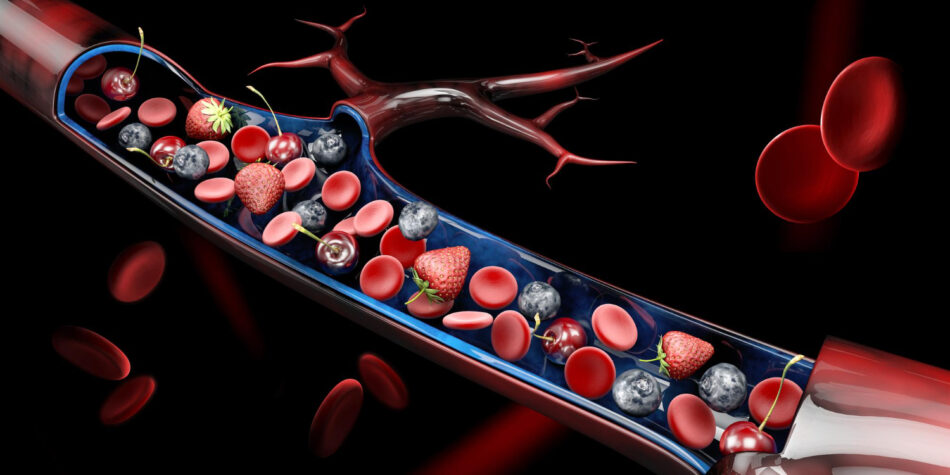 metabolitos en sangre